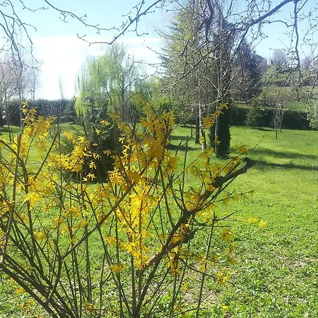 Дом отдыха Tenuta Montelupa