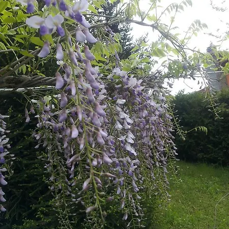 Ferienhaus Tenuta Montelupa *