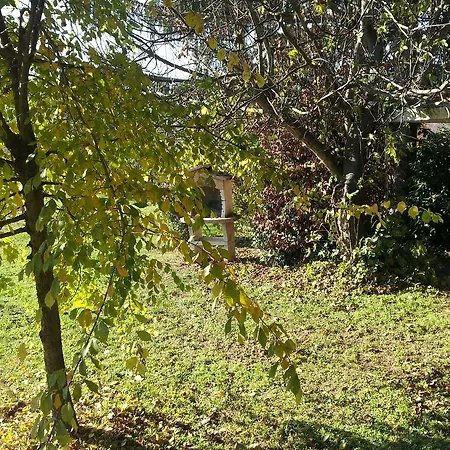 Tenuta Montelupa